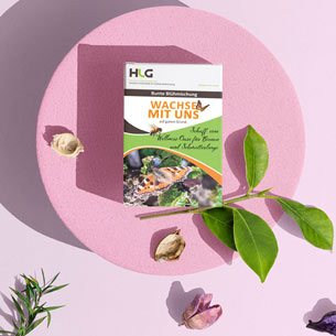 Projekt: HLG Saatentütchen für Bienenwiese